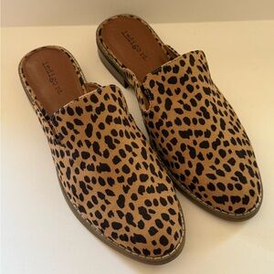Indigo Rd. Hayze Leopard Print Mules Slip-Ons Slides 8M
